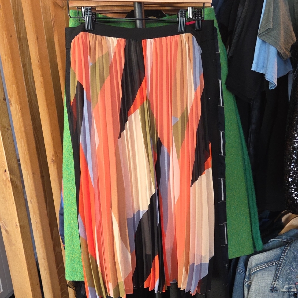 HD in Paris Multicolor Pleated A-Line Skirt